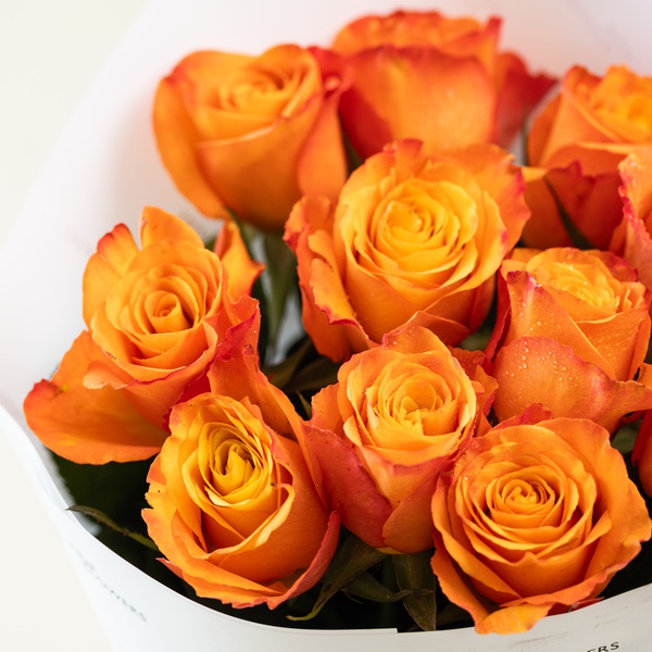 Luxury Orange Roses