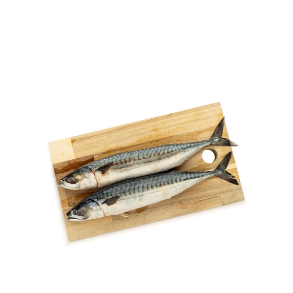 Spinneys Fresh Mackerel Scotland