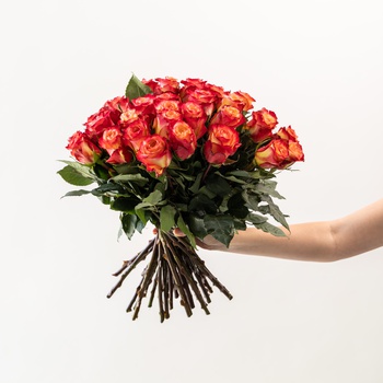 Deluxe Roses
