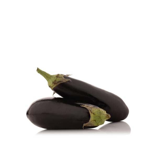 Aubergine Holland KG