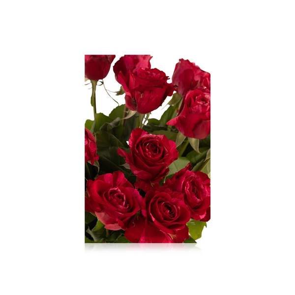 Frou-Frou Roses Bouquet