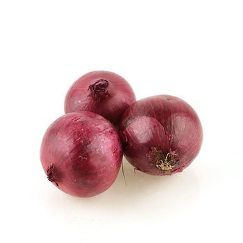 Red Onion Spain