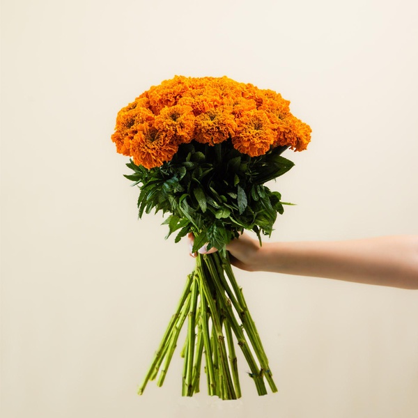 Marigold Bunch