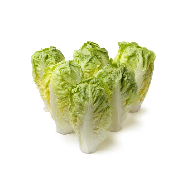 Baby Gem Lettuce Spain x 6