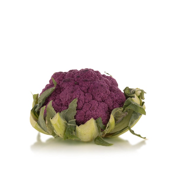 Purple cauliflower Holland