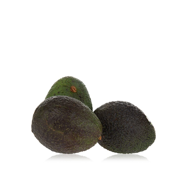 Jumbo Avocado Australia