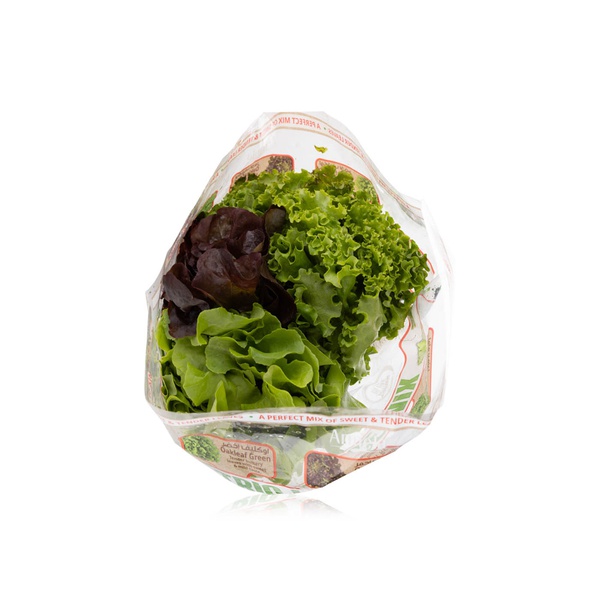 Buy Spinneys Lollo Biondi Oakleaf Lettuce Red/Green UAE 200g in UAE