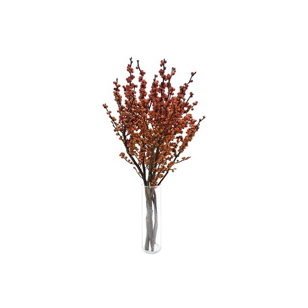 Orange Berries Bunch