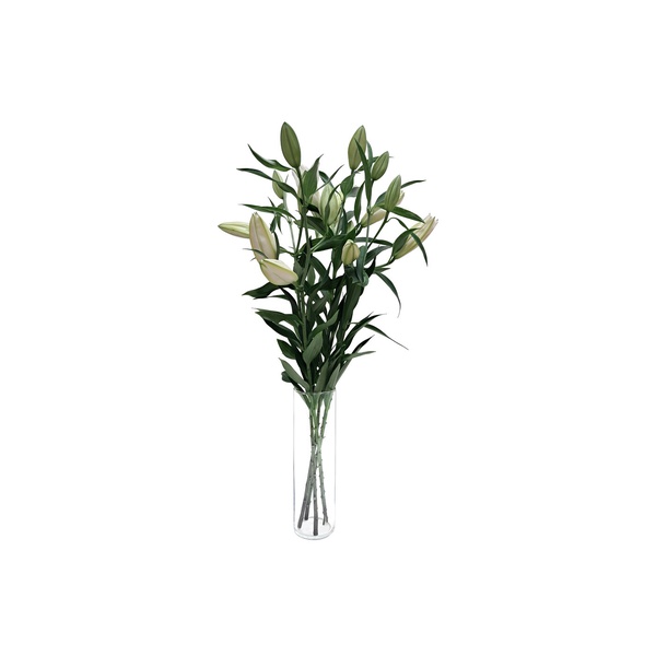 Oriental White Lilies