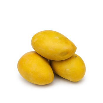 Sensation Mango Pakistan