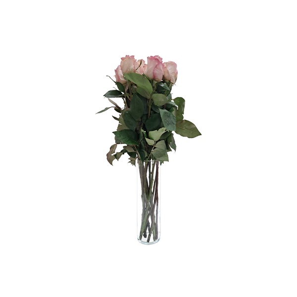 Luxury Pink and White Roses