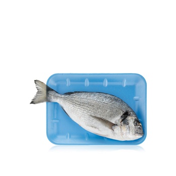 Sea Bream