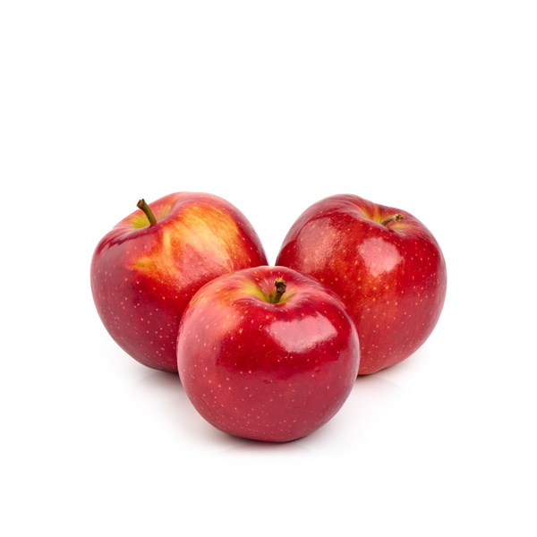Sugarbee Apple Large Usa