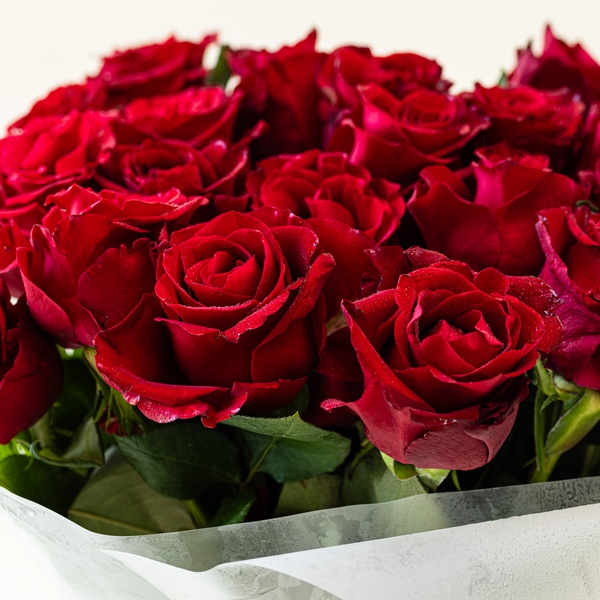 Red Roses