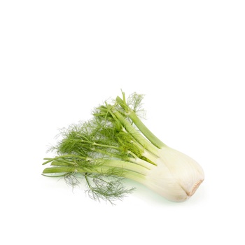 Fennel Australia