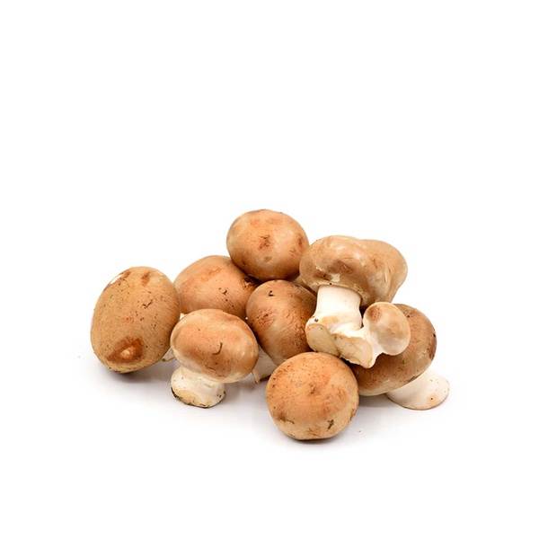 اشتري Brown mushrooms UAE في الامارات