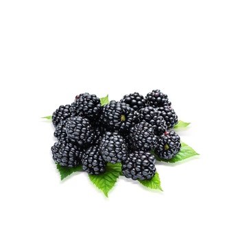 Blackberries Chile 125g