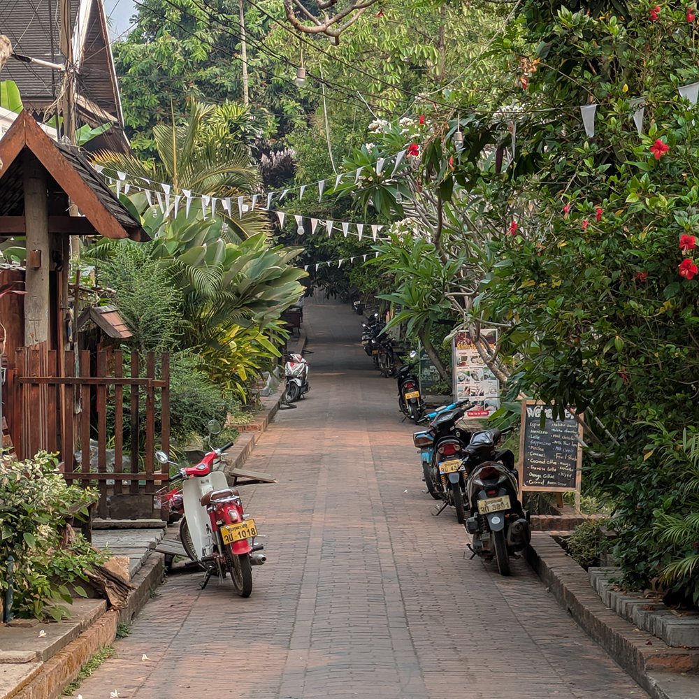 A quiet residential lane in Luang Prabang