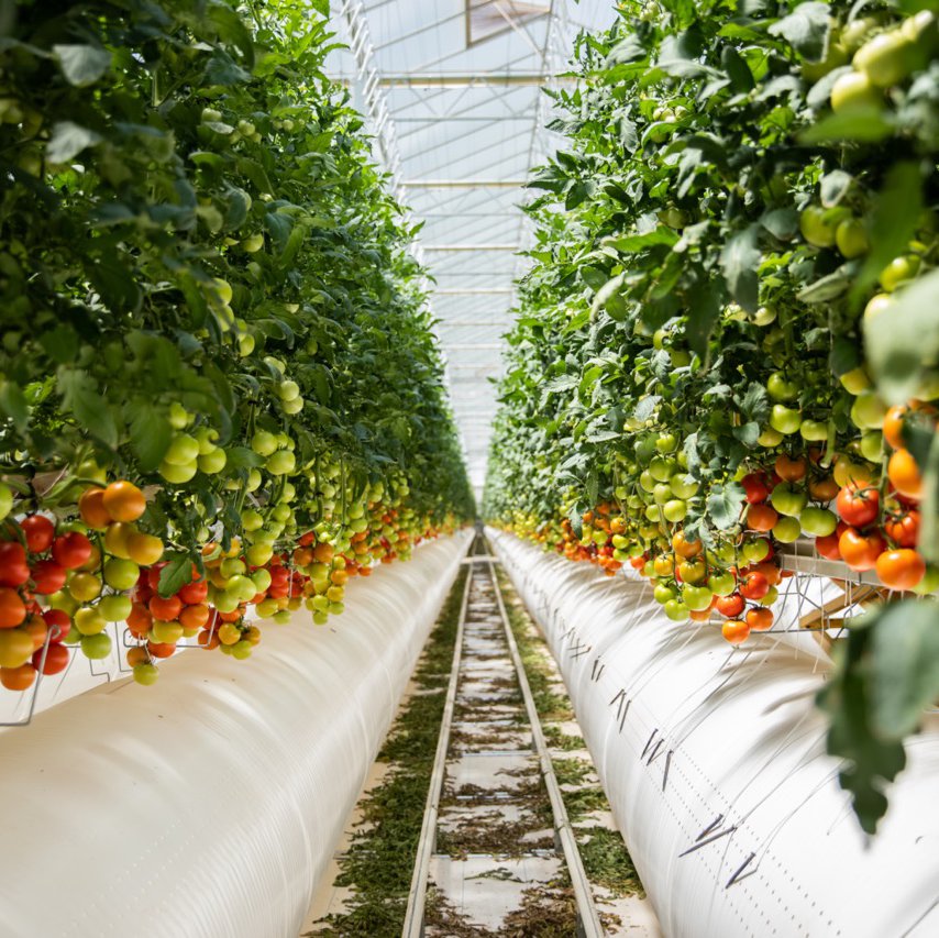 Spinneys releases sustainability commitment report titled 'Better Together: 2030'