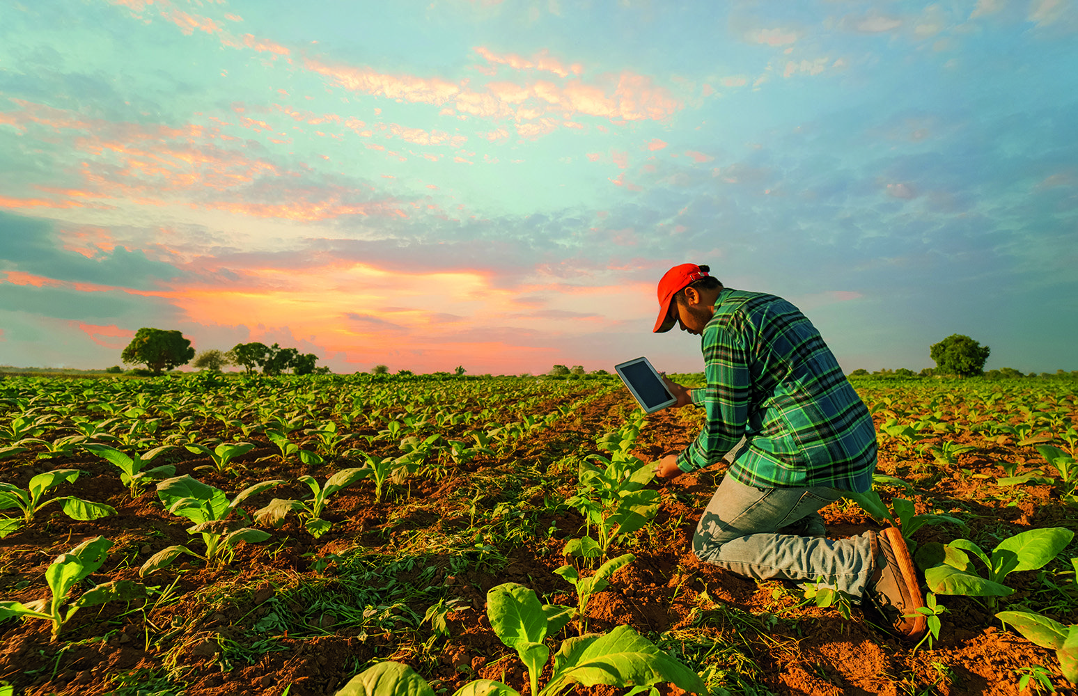 Automatic for the people