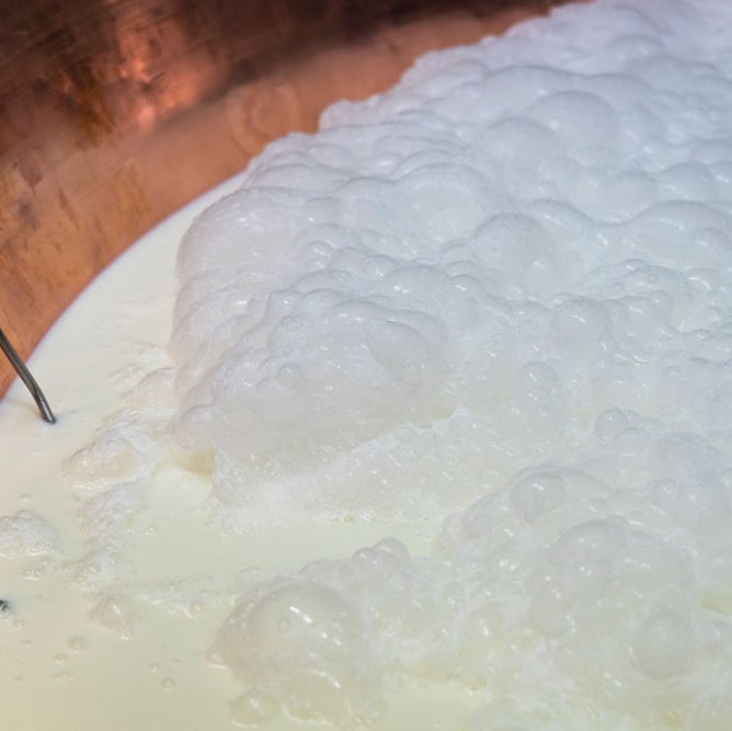 The cheese-making process begins by boiling milk