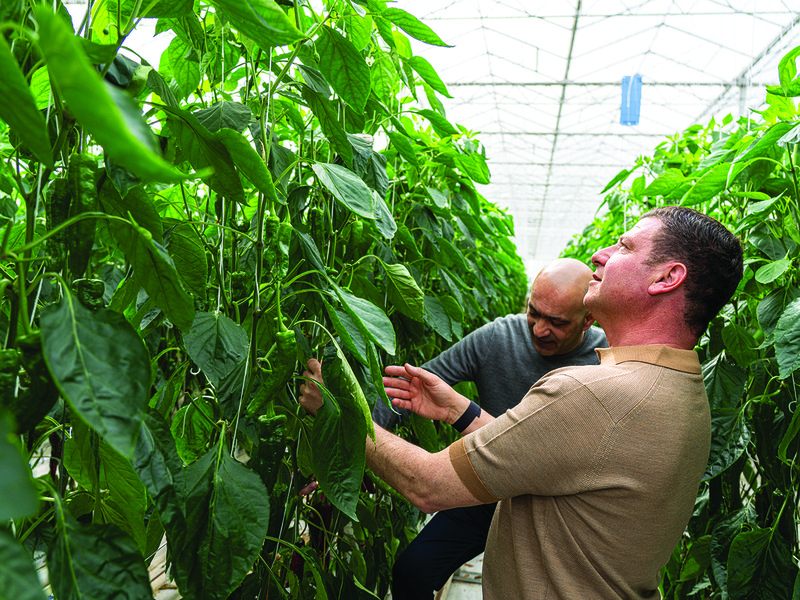 Paul Thomas, managing director of Isle of Wight Tomatoes  │ Joe Colletti and Sam Cannatella are the second-generation owners of Glinwell │ Falfish works closely with several fishing boats that bring in fish exclusively for the