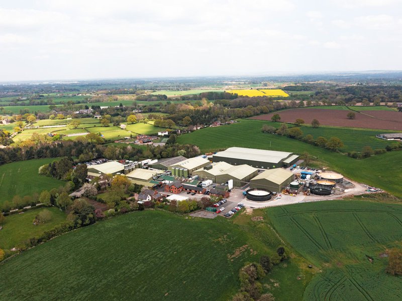 The company lies in the heart of Cheshire | Happy cows produce the best-quality milk | George and Mike Heler | Joseph Heler