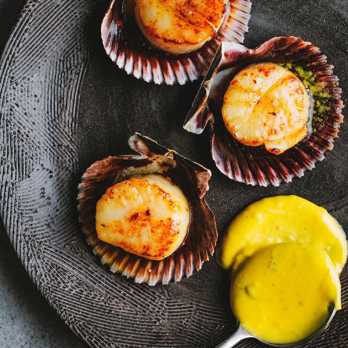 Dirtygrilled scallops in the shell with beef dripping bearnaise recipe