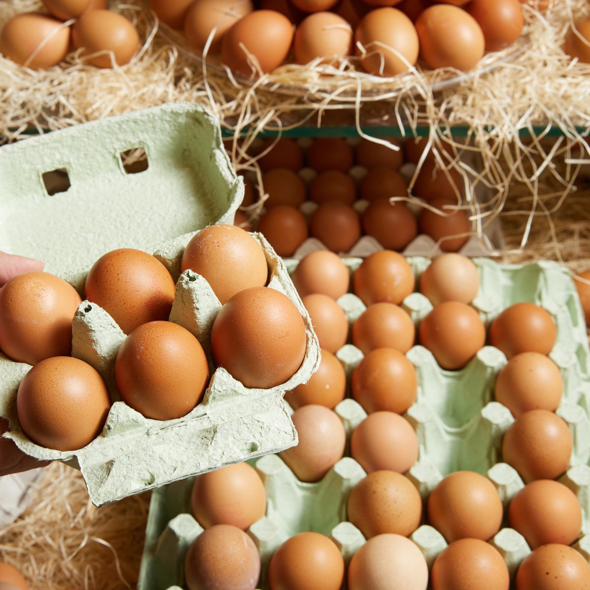 Meet the producers: The Nest Box Egg Company