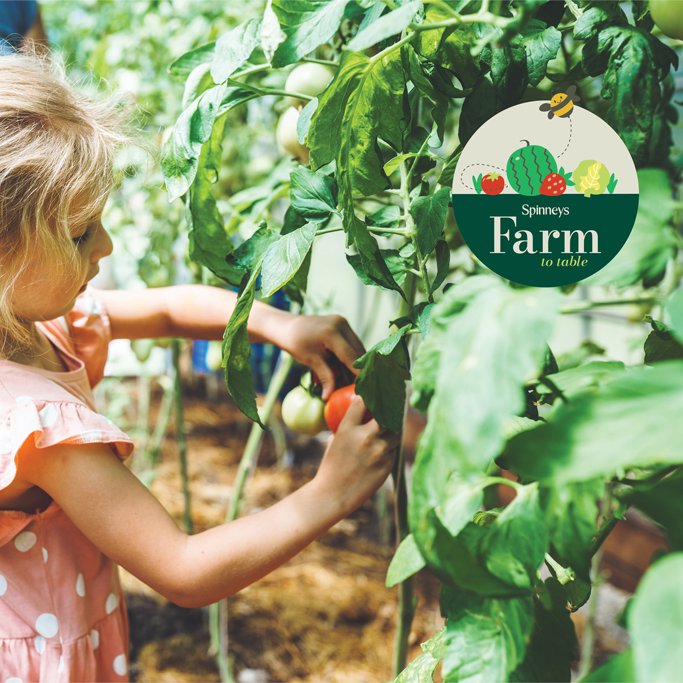 Discover more about the Farm to Table programme