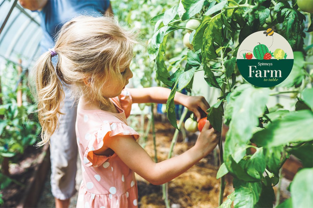 Discover more about the Farm to Table programme