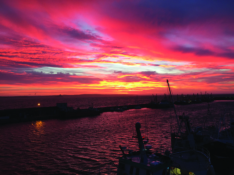 Newlyn harbour is an important landing site for Falfish | Fishing boats return with the day’s catch on ice | Falfish works closely with several fishing boats that land exclusively for them |  Cornwall is known for its scenic beauty | The mingling of warm and  cold ocean currents off the coast attract an abundance of fish and shellfish