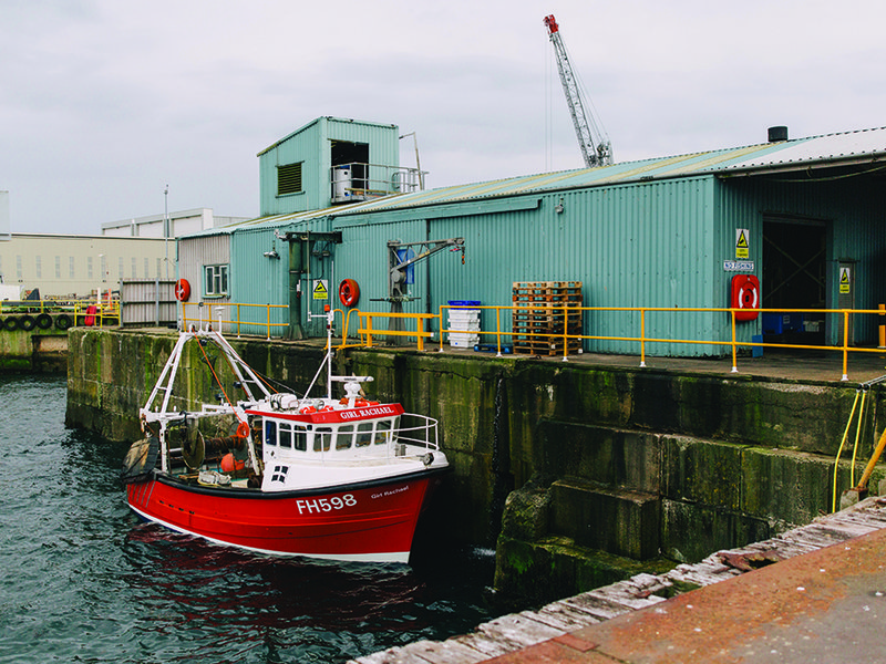 Days begin early down at the harbour | A diverse range of fishing vessels, ranging from 12-ft-long mackerel boats to 112-ft-long trawlers, operate in Cornish waters | Scallops are carefully hand-shucked then washed before being packed for domestic and export markets | Edwin holds up  a freshly-caught monkfish