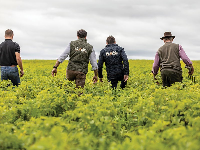 The Keogh family have been farming potatoes for more than 200 years