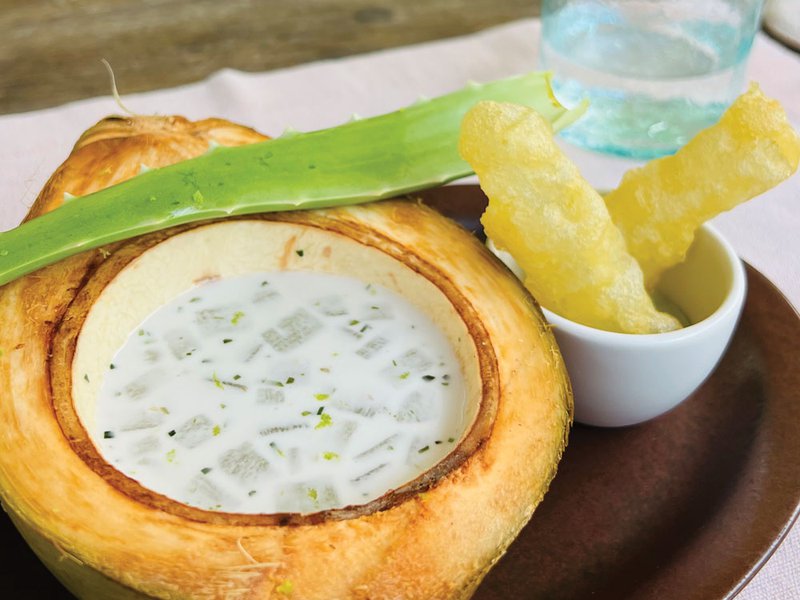 The garden salad | chef Hari | aloe vera coconut ceviche