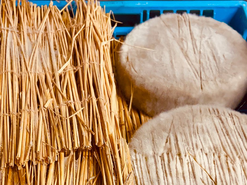 Bleu des Causses is aged in deep limestone caves | Certain French cheeses are aged on straw mat | Mons Cheese produces Mistralou, a feather-soft cheese wrapped in chestnut leaves | Laguiole is made from the milk from Montbéliarde cows