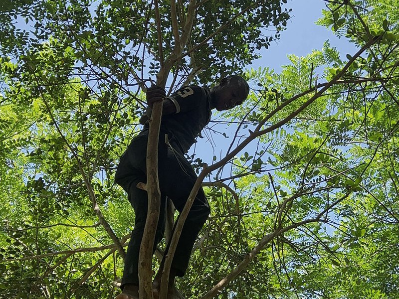 An array of spices is available to purchase at Zito Farm | Up the allspice tree | Zanzibari-style biryani