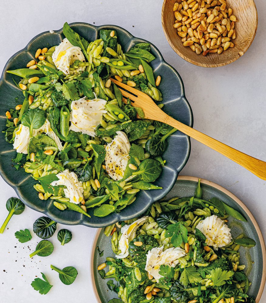 Tatsoi, parsley and spinach orzo salad