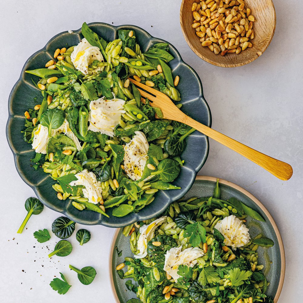 Tatsoi, parsley and spinach orzo salad