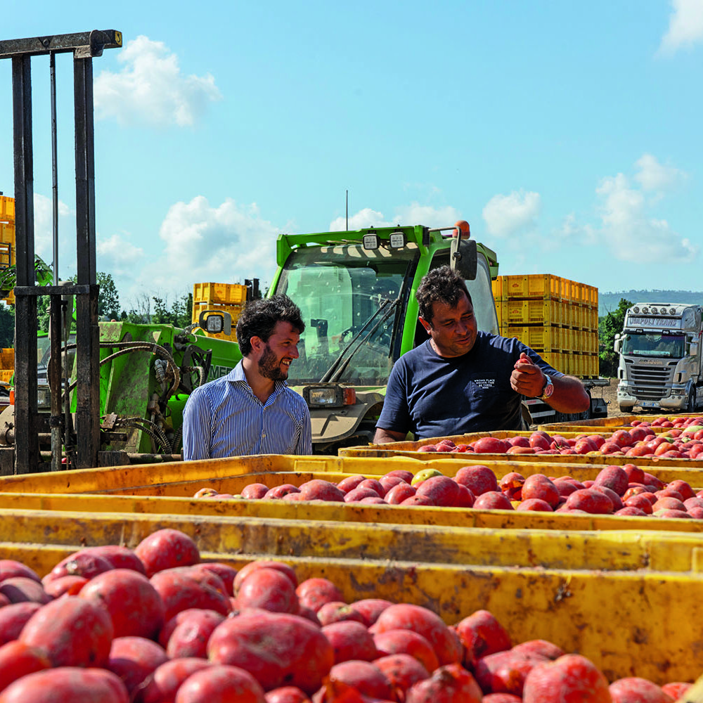 La Doria continues to work with specialist farmers in the region to source the best tomatoes