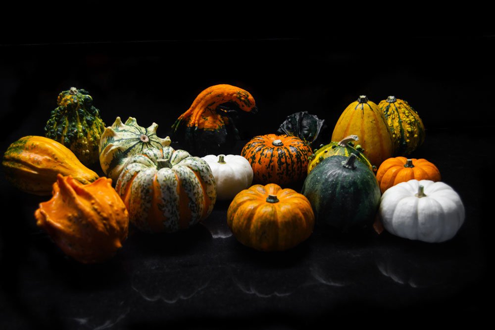 Orange you hungry? Let's dig in.