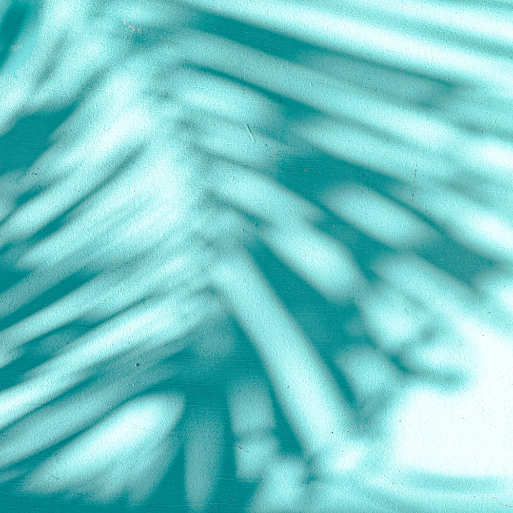 Drink up Spinneys UAE