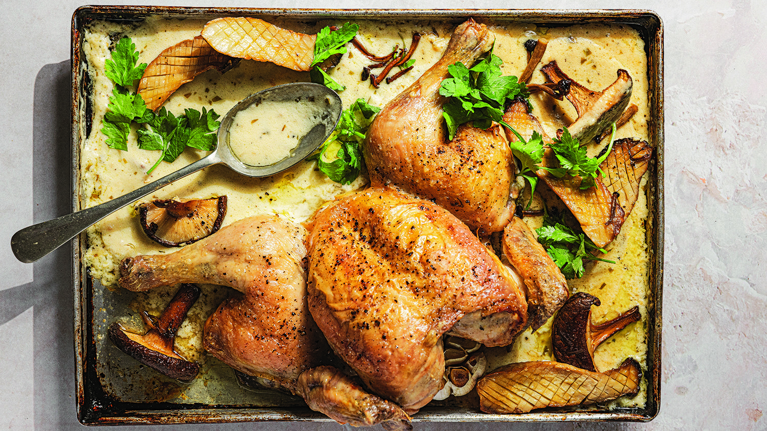 دجاج مشوي مع الفطر، والكريمة الحامضة والطرخون