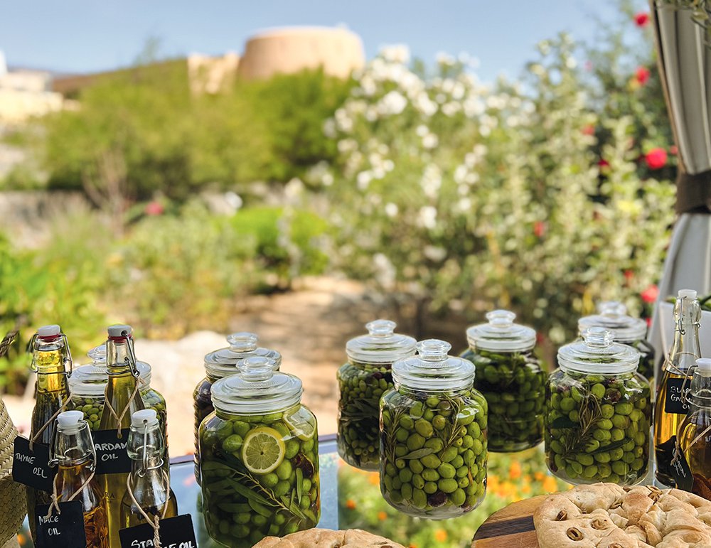 An olive oil tasting