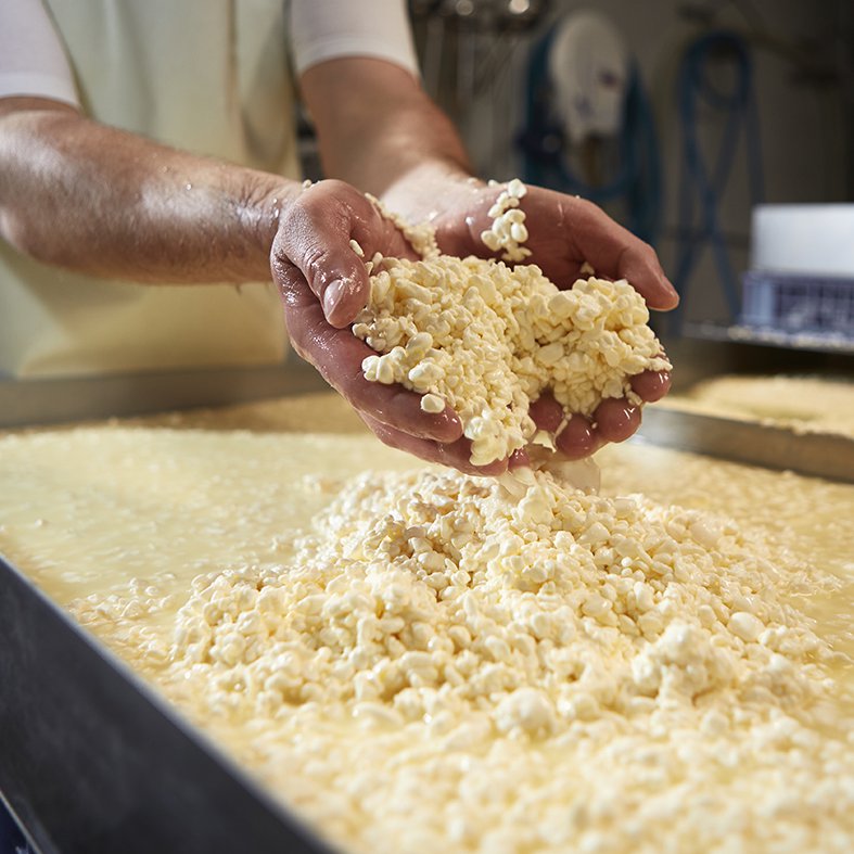 Oh-lait, oh-lait, oh-lait