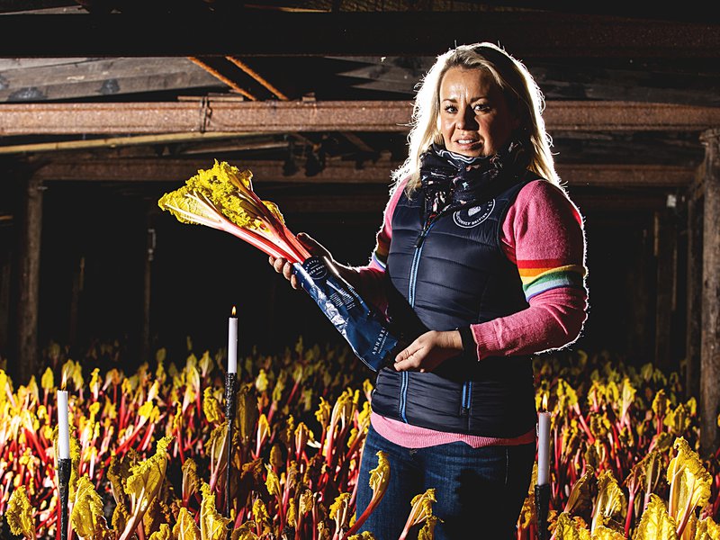 Annabel Makin-Jones, Yorkshire producer