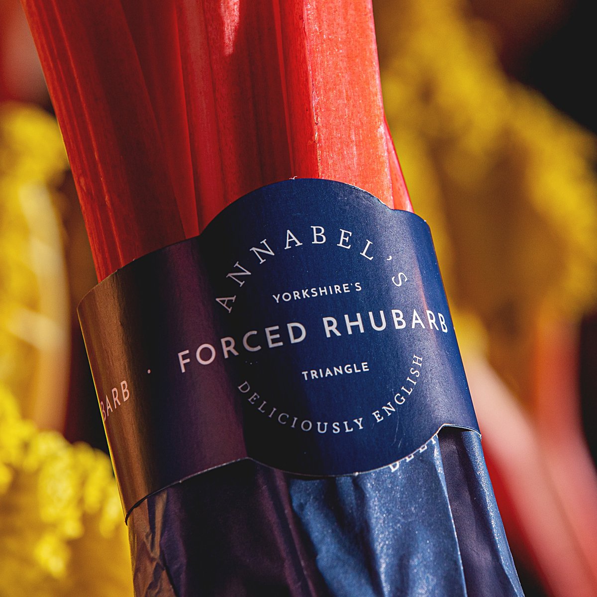 How Annabel Makin-Jones grows her forced rhubarb