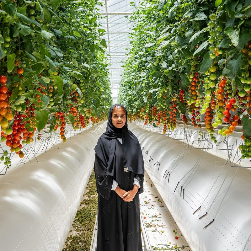 Meet the grower: Pure Harvest’s Salama Al Kaabi
