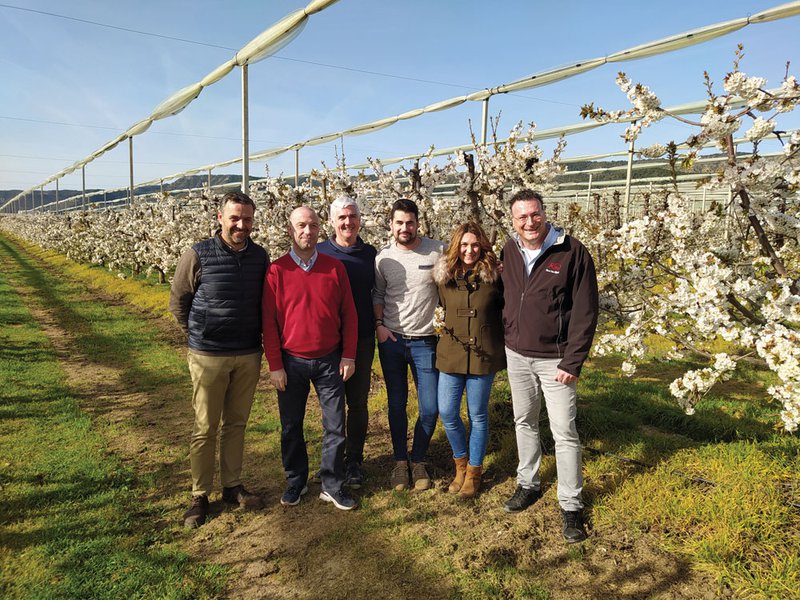 Cherry trees in bloom inside a greenhouse | The Rio Cinca sales team on a farm visit