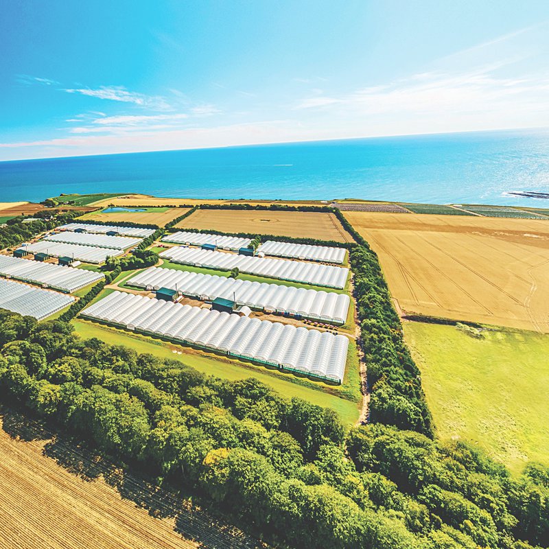 Meet the producers: Seahills Farm